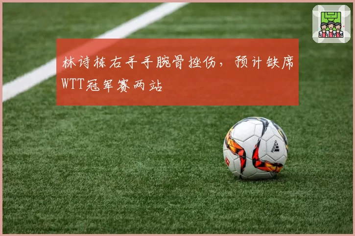 林诗栋右手手腕骨挫伤,预计缺席WTT冠军赛两站