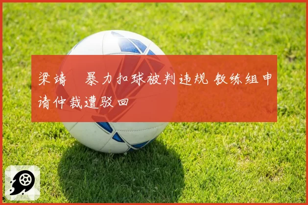 梁靖崑暴力扣球被判违规 教练组申请仲裁遭驳回