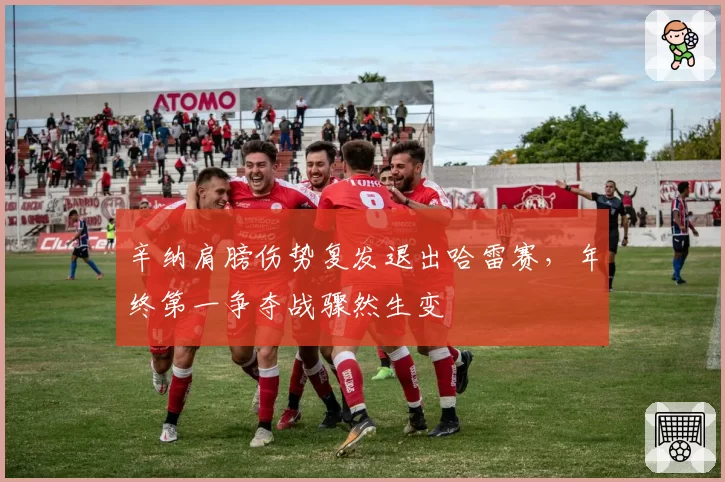辛纳肩膀伤势复发退出哈雷赛,年终第一争夺战骤然生变