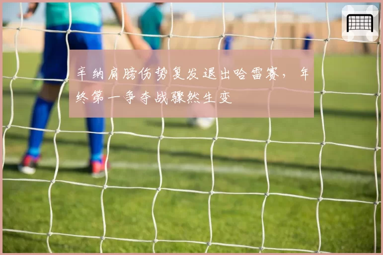 辛纳肩膀伤势复发退出哈雷赛,年终第一争夺战骤然生变