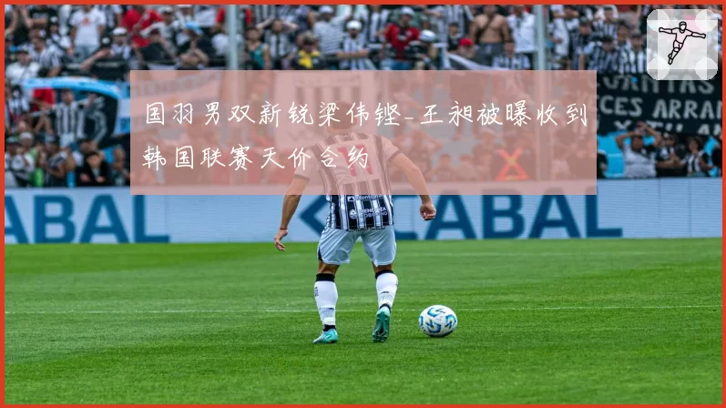 国羽男双新锐梁伟铿_王昶被曝收到韩国联赛天价合约