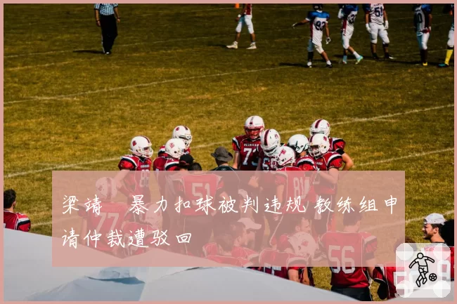 梁靖崑暴力扣球被判违规 教练组申请仲裁遭驳回